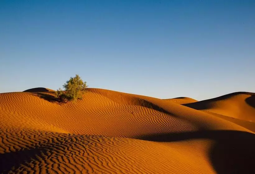 Majatalo Camp Adounia