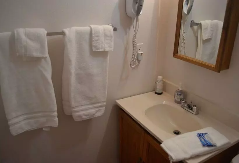 Hotelli Pioneer Inn Downtown