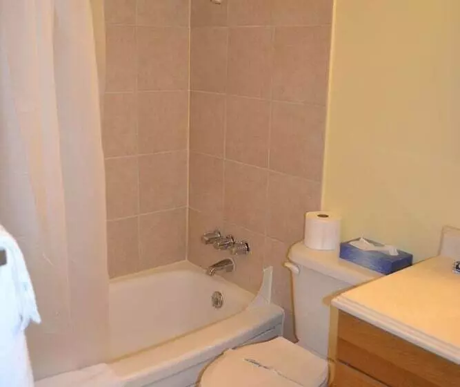 Hotelli Pioneer Inn Downtown