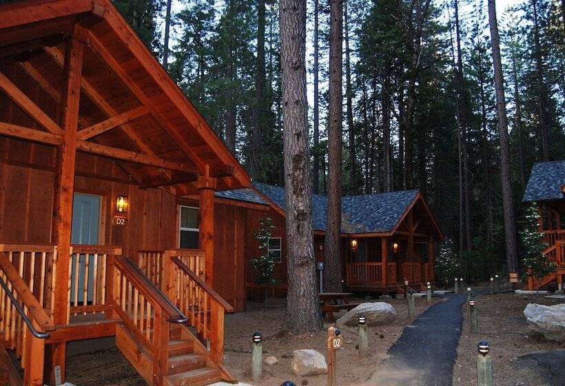 酒店 Evergreen Lodge at Yosemite