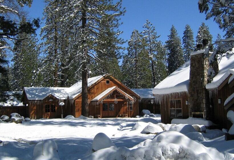 酒店 Evergreen Lodge at Yosemite