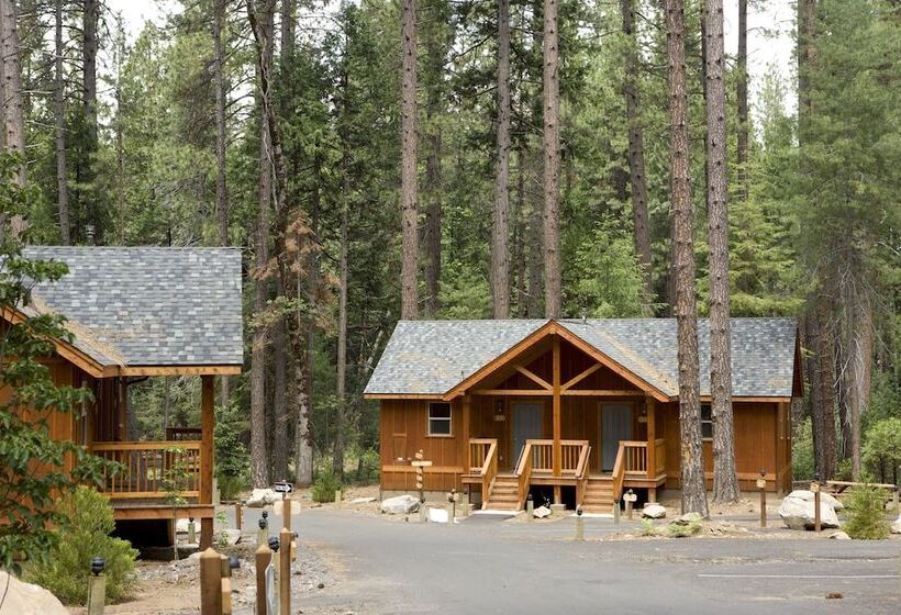 酒店 Evergreen Lodge at Yosemite