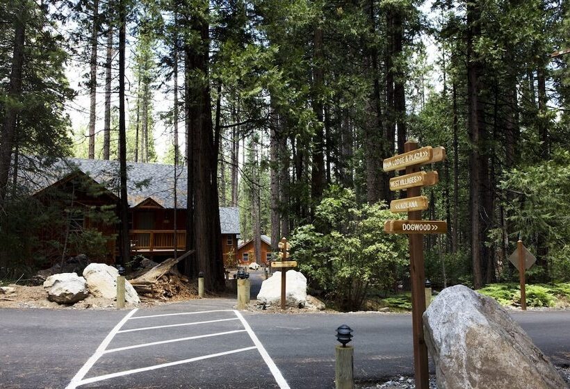 酒店 Evergreen Lodge at Yosemite