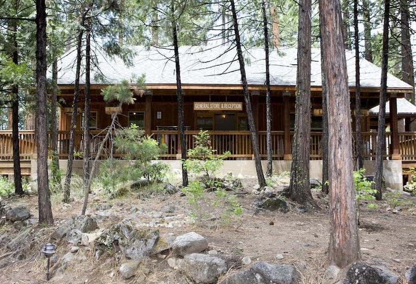 酒店 Evergreen Lodge at Yosemite