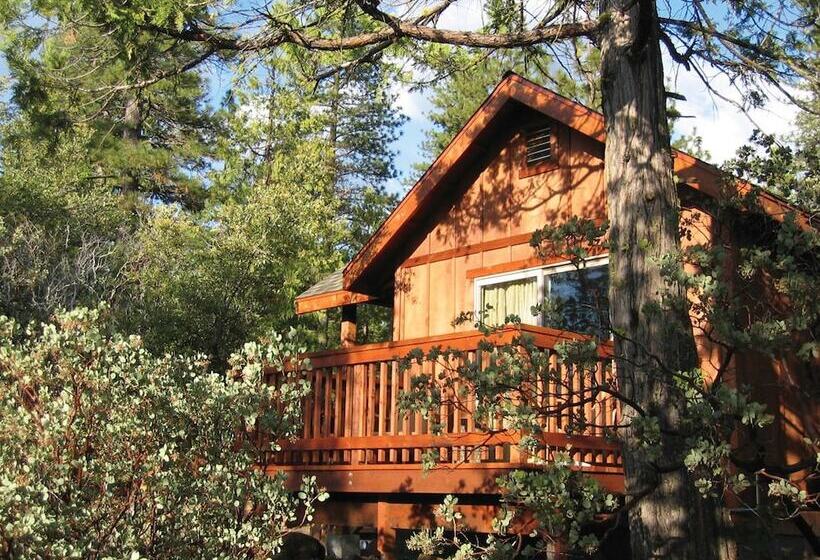 酒店 Evergreen Lodge at Yosemite