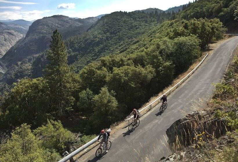 酒店 Evergreen Lodge at Yosemite