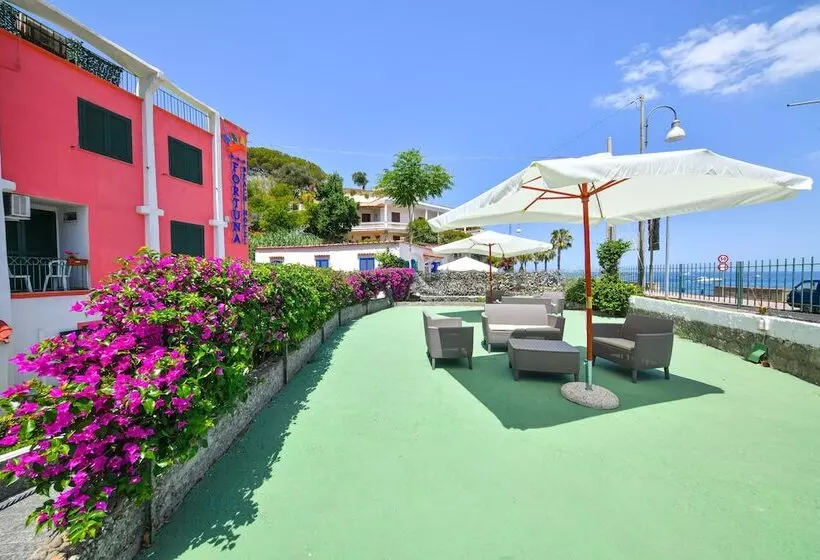 ホテル Fortuna Beach
