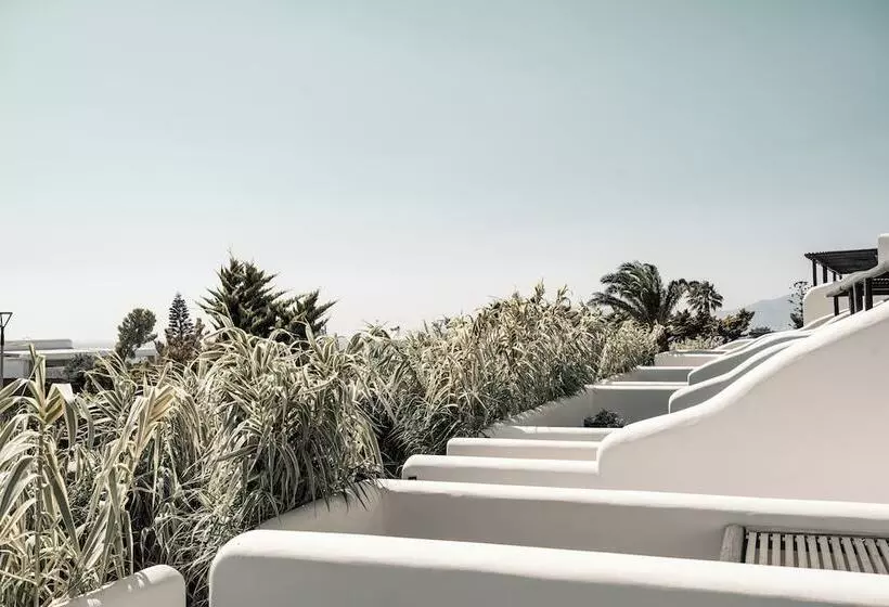 Asty Mykonos Hotel & Spa   World Of One Hotel Group