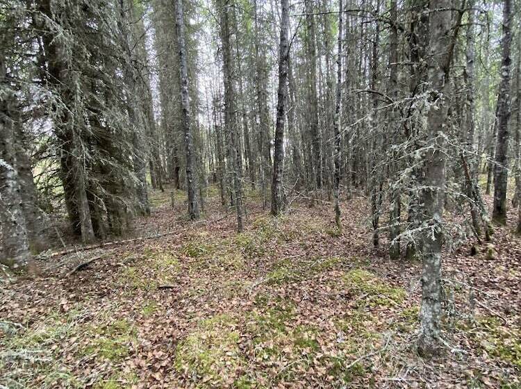 Flippin Crazy Fishing & Lodging