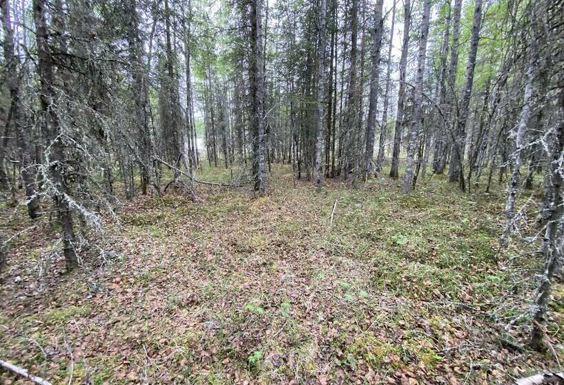 Flippin Crazy Fishing & Lodging