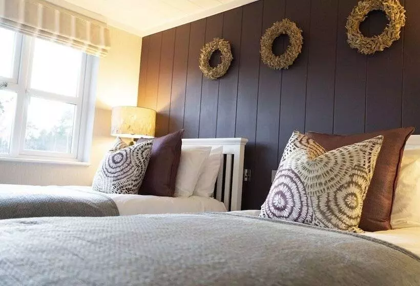 Hotelli Hollicarrs   The Rushes