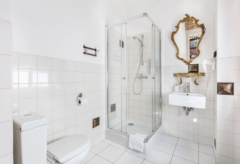 فندق صغير Arthotel Stalowa 52