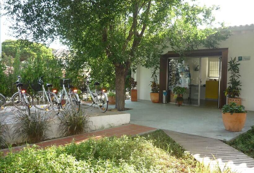 Albergue Inturjoven Punta Umbria   Hostel