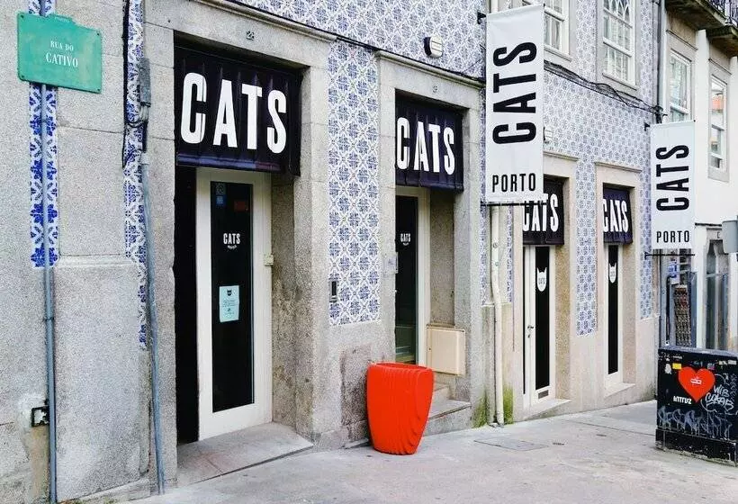 Cats Porto Hostel