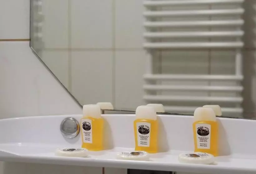 בית מלון כפרי Dworek Mitro