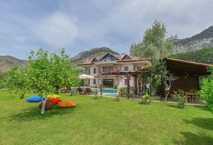 فندق Gocek Arion