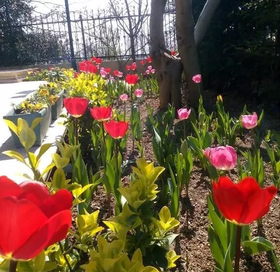 Hotelli Pendik Marine