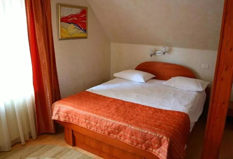 בית מלון כפרי Pensiunea Andy