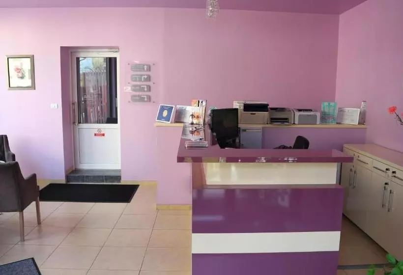 בית מלון כפרי Pensiunea Andy