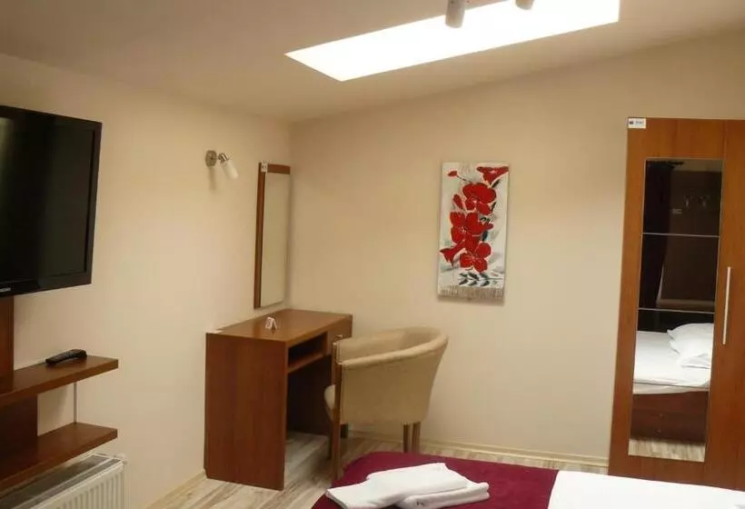 בית מלון כפרי Pensiunea Andy