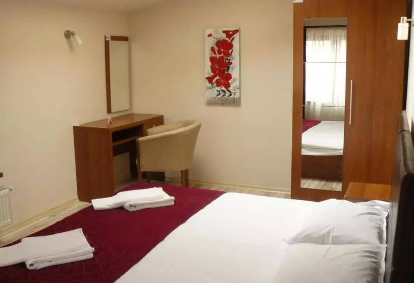 בית מלון כפרי Pensiunea Andy