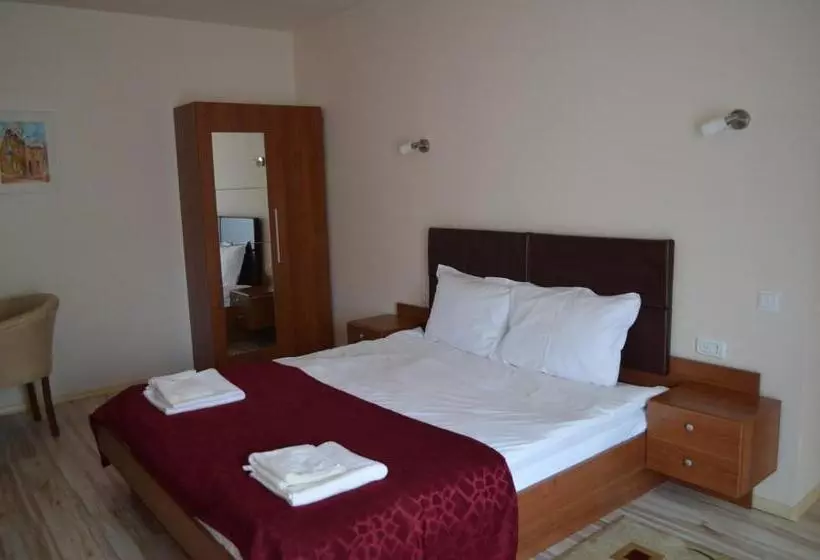 בית מלון כפרי Pensiunea Andy