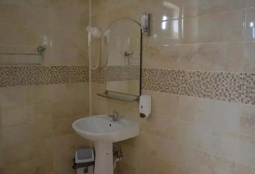 בית מלון כפרי Pensiunea Andy