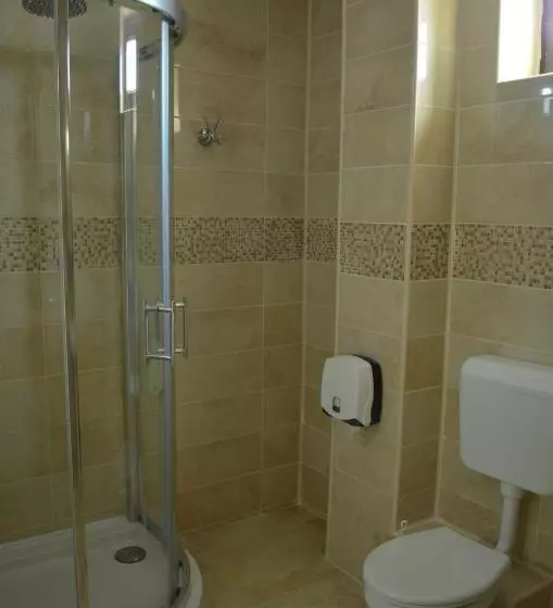 בית מלון כפרי Pensiunea Andy