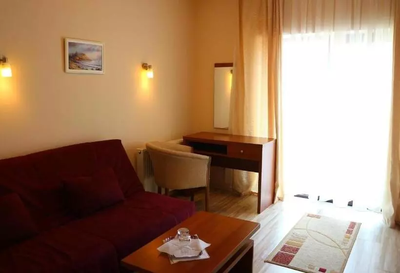 בית מלון כפרי Pensiunea Andy