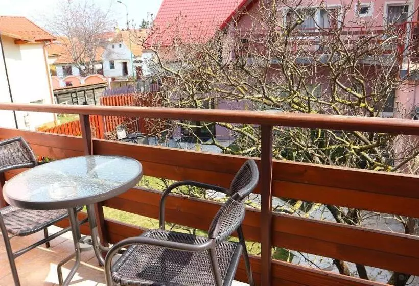 בית מלון כפרי Pensiunea Andy