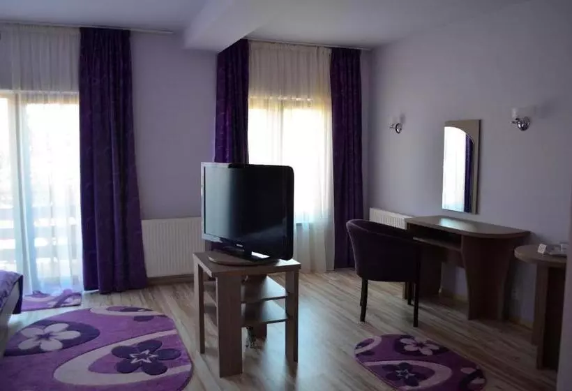 בית מלון כפרי Pensiunea Andy