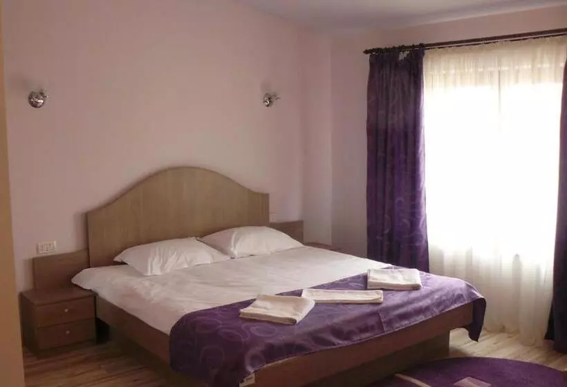 בית מלון כפרי Pensiunea Andy