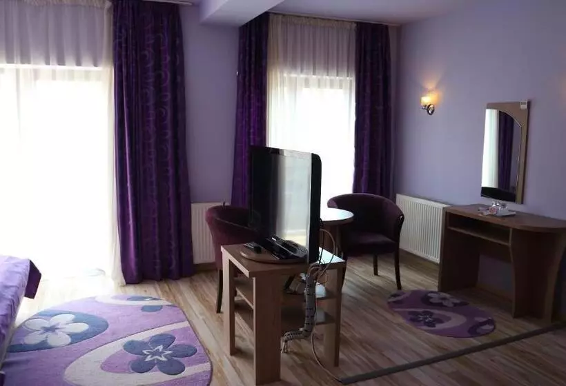 בית מלון כפרי Pensiunea Andy