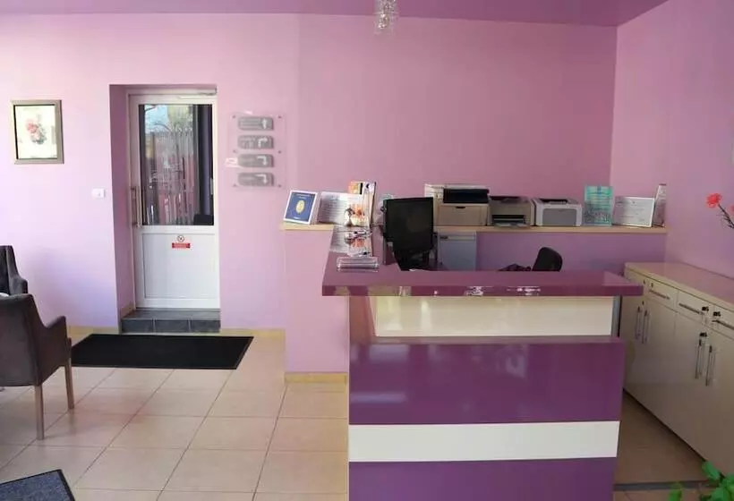 בית מלון כפרי Pensiunea Andy