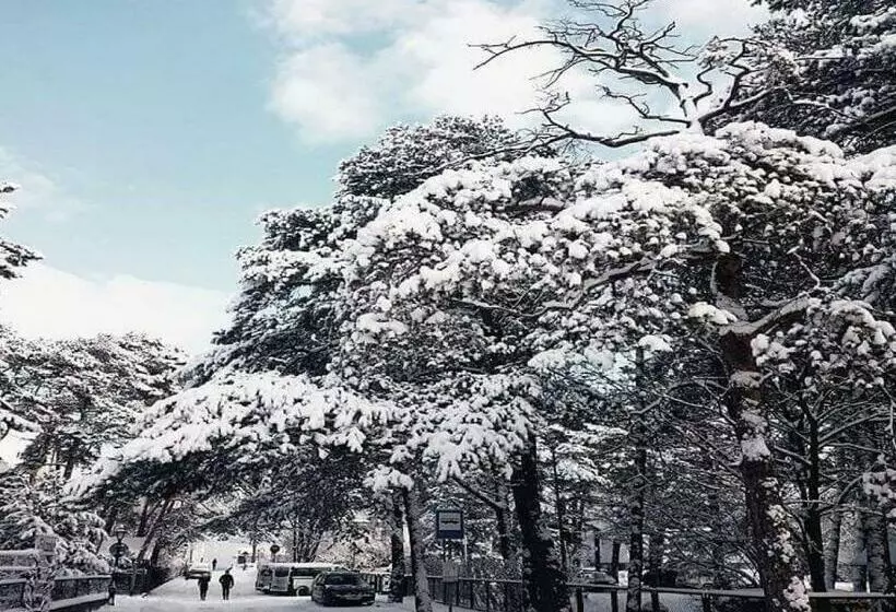 Hotelli Plac Rybaków Inn