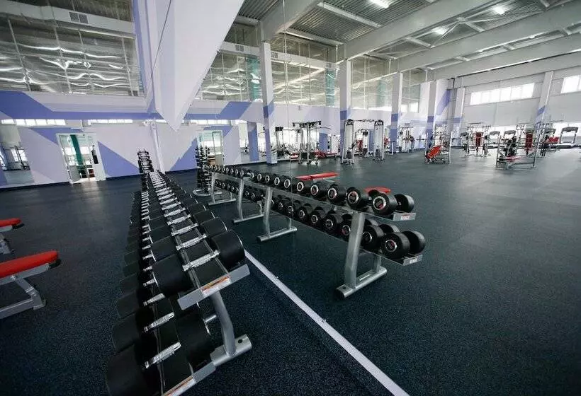 ホテル Ryan Johnson