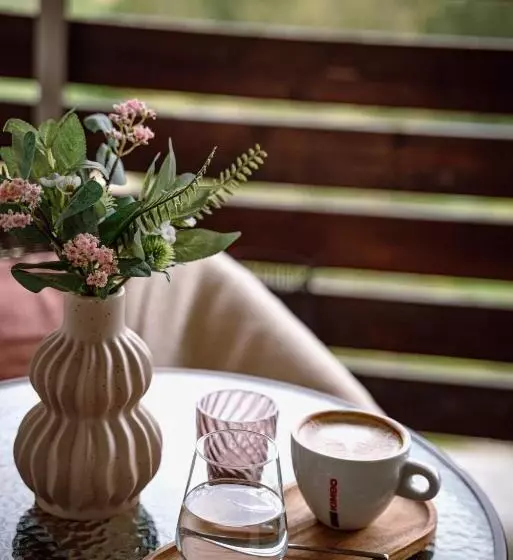 هتل Silver Mountain Resort & Spa