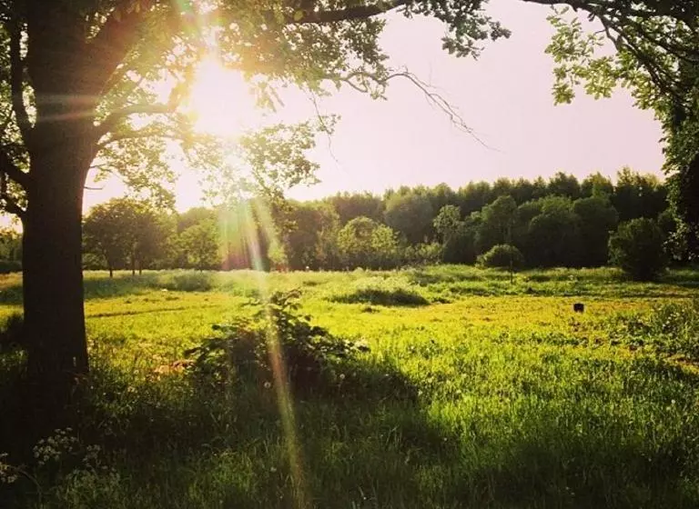 Hotelli Yuzhnoprimorskiy