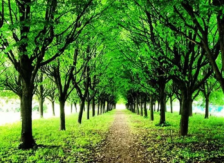 Hotelli Yuzhnoprimorskiy