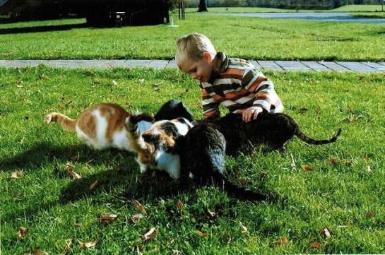 בית מלון כפרי Waschlgut