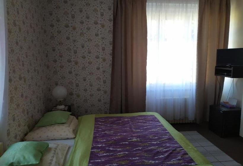 بنسيون Diamant