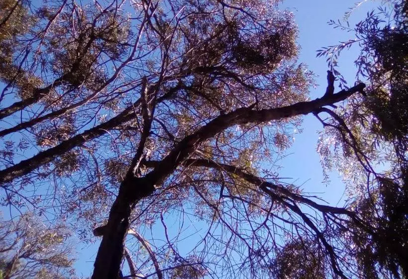 膳宿费 Onze Rust Guesthouse