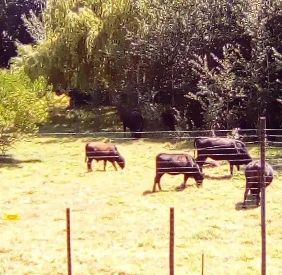 膳宿费 Onze Rust Guesthouse