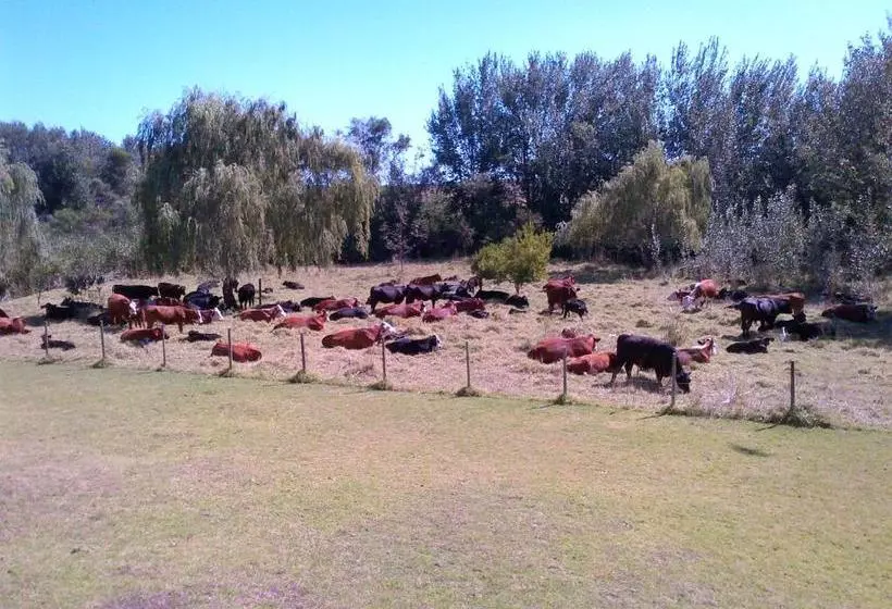 膳宿费 Onze Rust Guesthouse