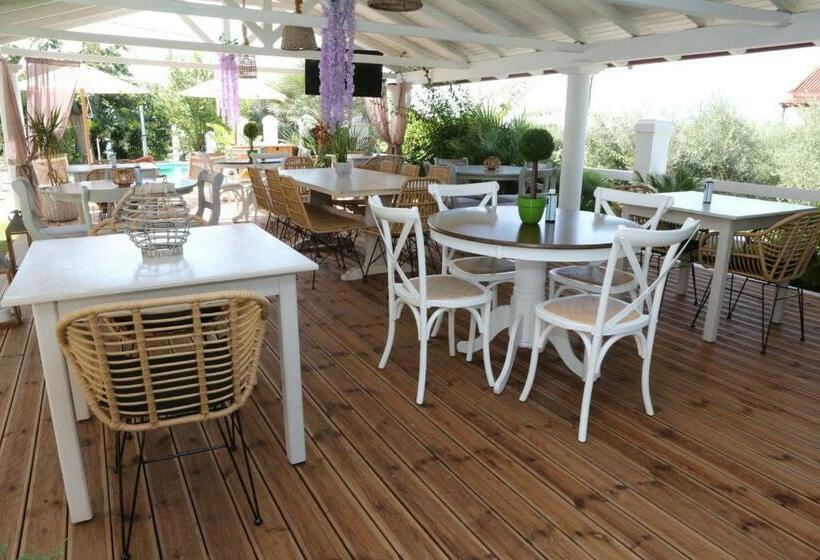 ホテル Caretta   Caretta