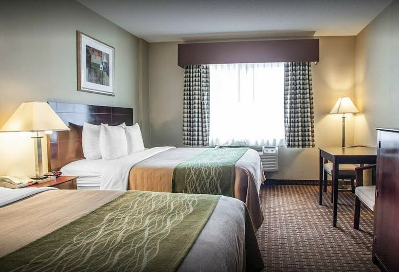 모텔 Avon Hotel   Toms River