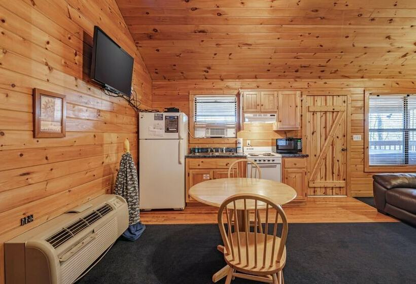 Star Struck Hot Tub Heart Shaped Jetted Jacuzzi Stone Gas Log Fireplace