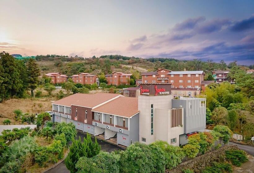 פנסיון Ignis Jeju