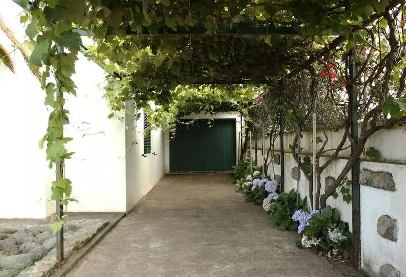 ペンション Mosteiros Vineyard House