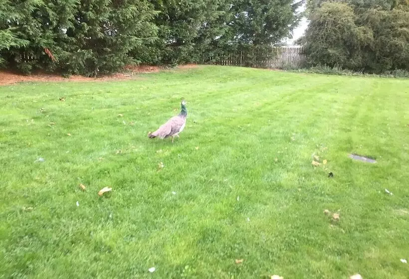 Luxury Dog Friendly Cottage Sleeps 4